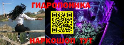 не бодяженный Брянск