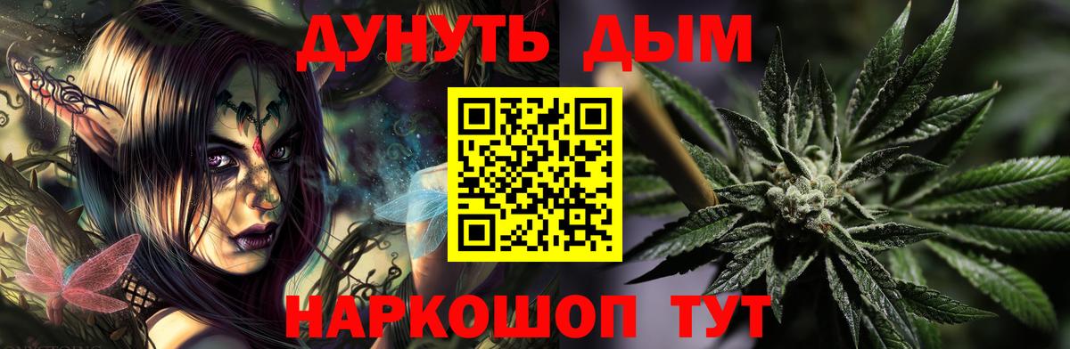 Канабис сатива Бердск